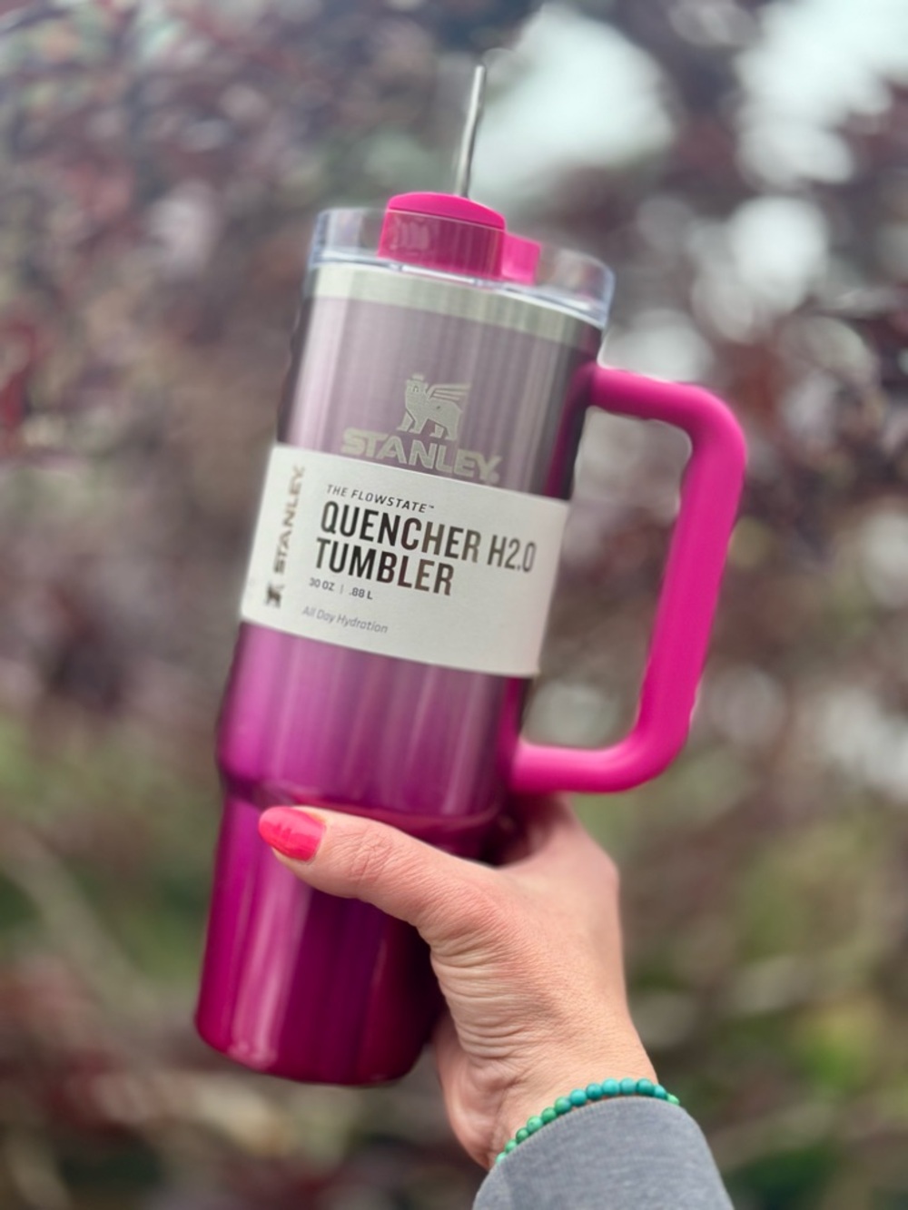 NEW Stanley Quencher Camelia Gradient Hot Pink 30oz Tumbler - NWT